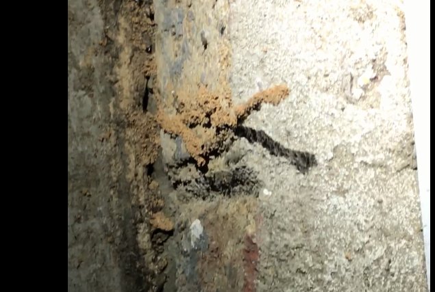 Americas Choice Inspections