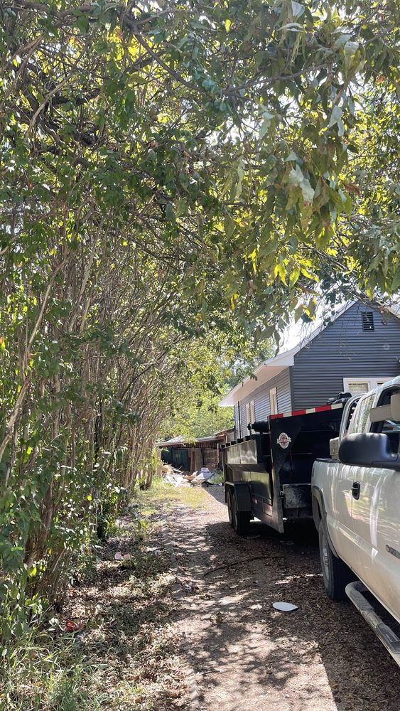 D & J Professional Tree Service