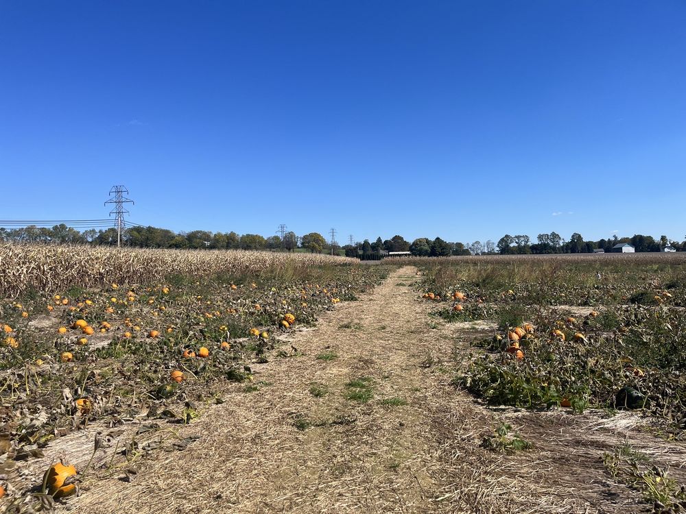 Seiple Farms