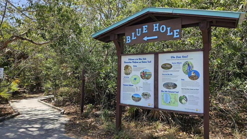 Blue Hole Observation Platform Image