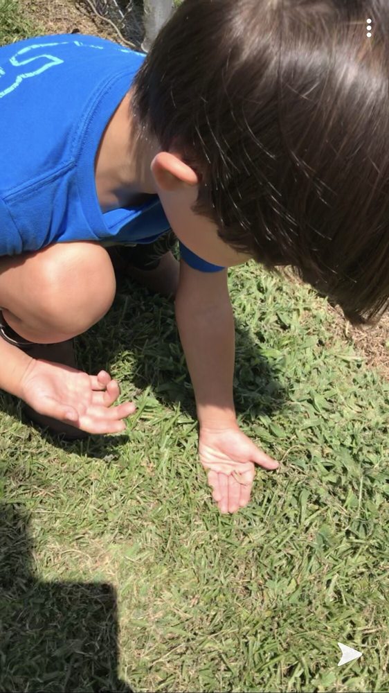 Foscue Plantation House