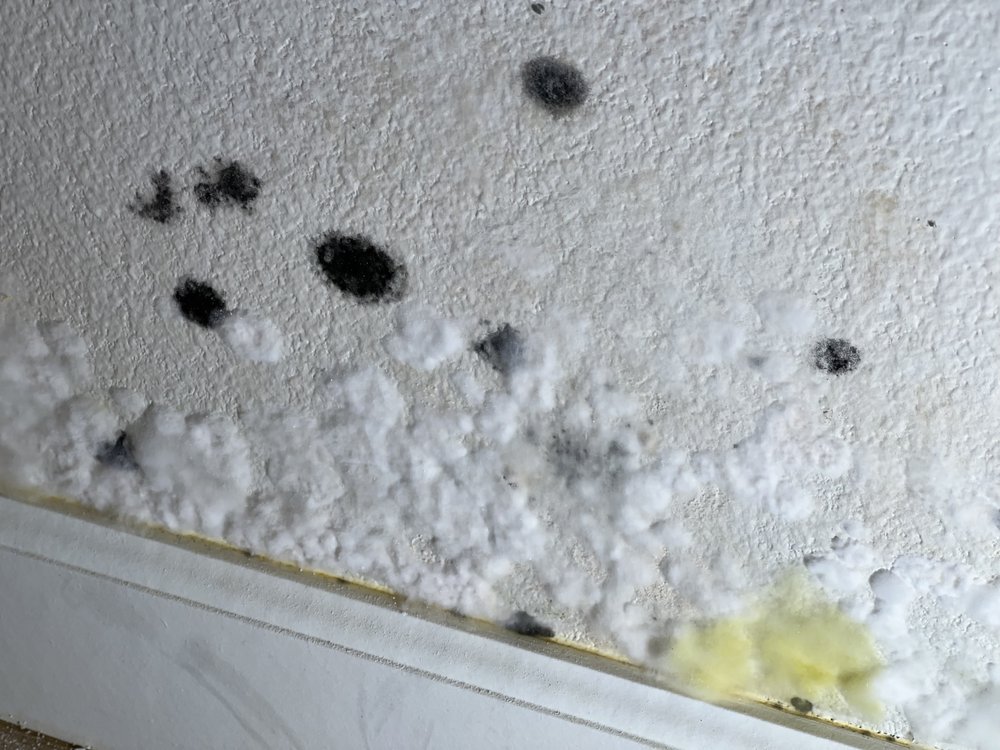 New Life Restoration & Cleaning Services