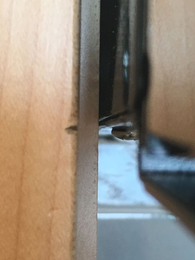 Reveal Is Not Sufficient To Allow The Door To Open Without Causing