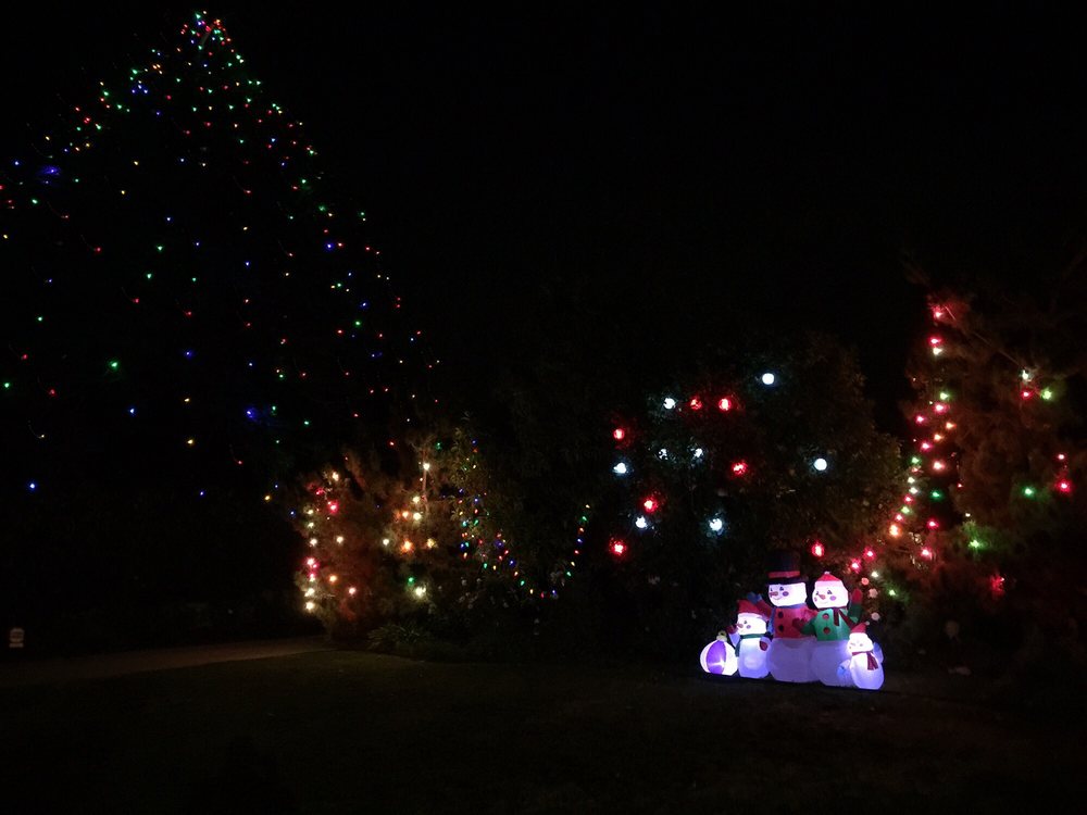 christmas tree lane 35 photos christmas trees christmas tree lane 35 photos christmas trees