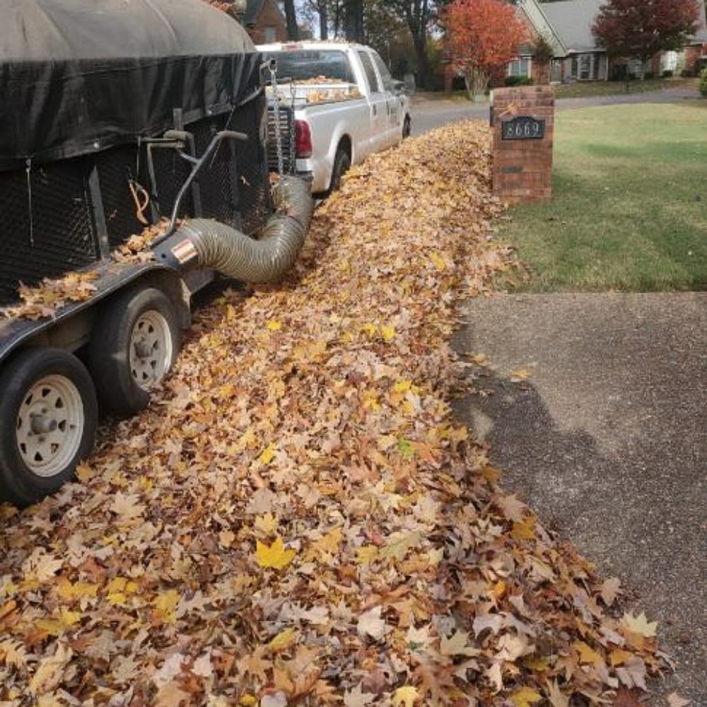 Mow & Blow Lawn Service