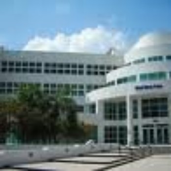Miami Beach Police Station Phone Number Miami Beach Police Station Phone Number