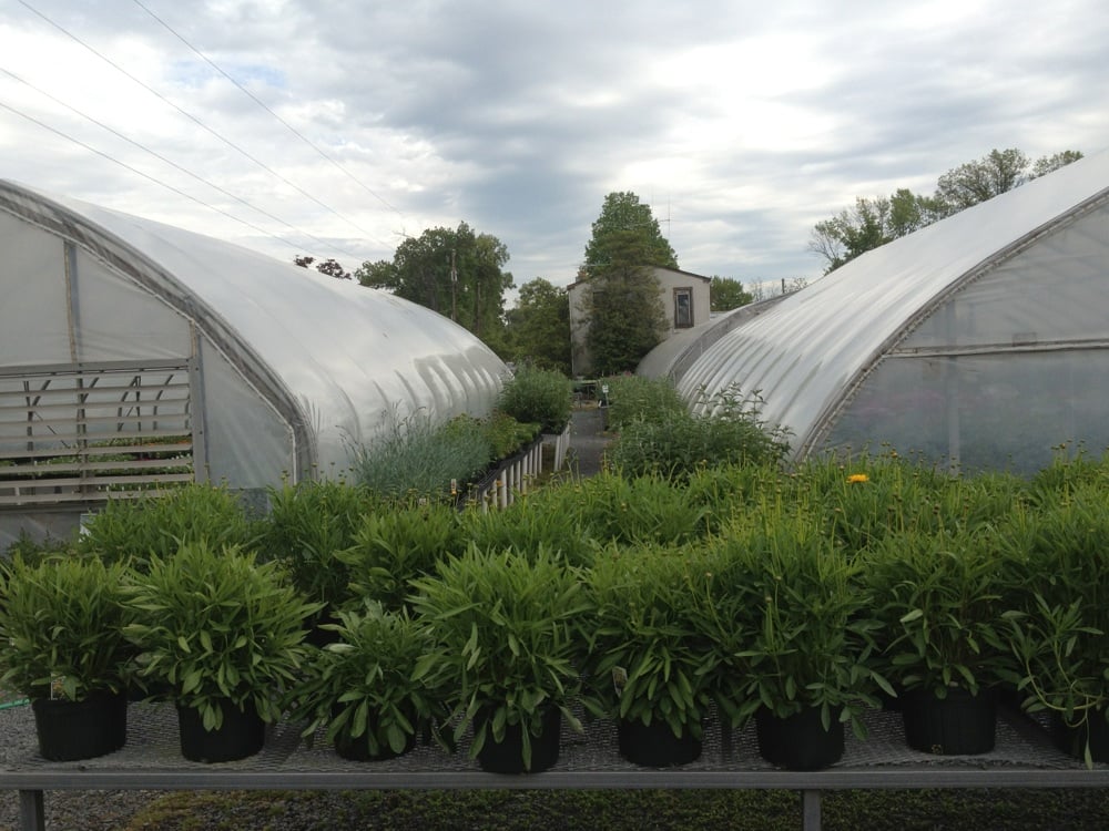 Williams Greenhouses & Nursery