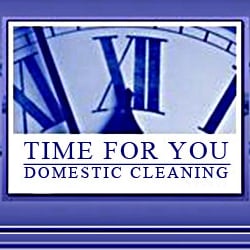 time for you domestic cleaning