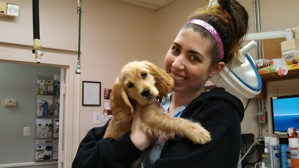 Countryside Animal Clinic