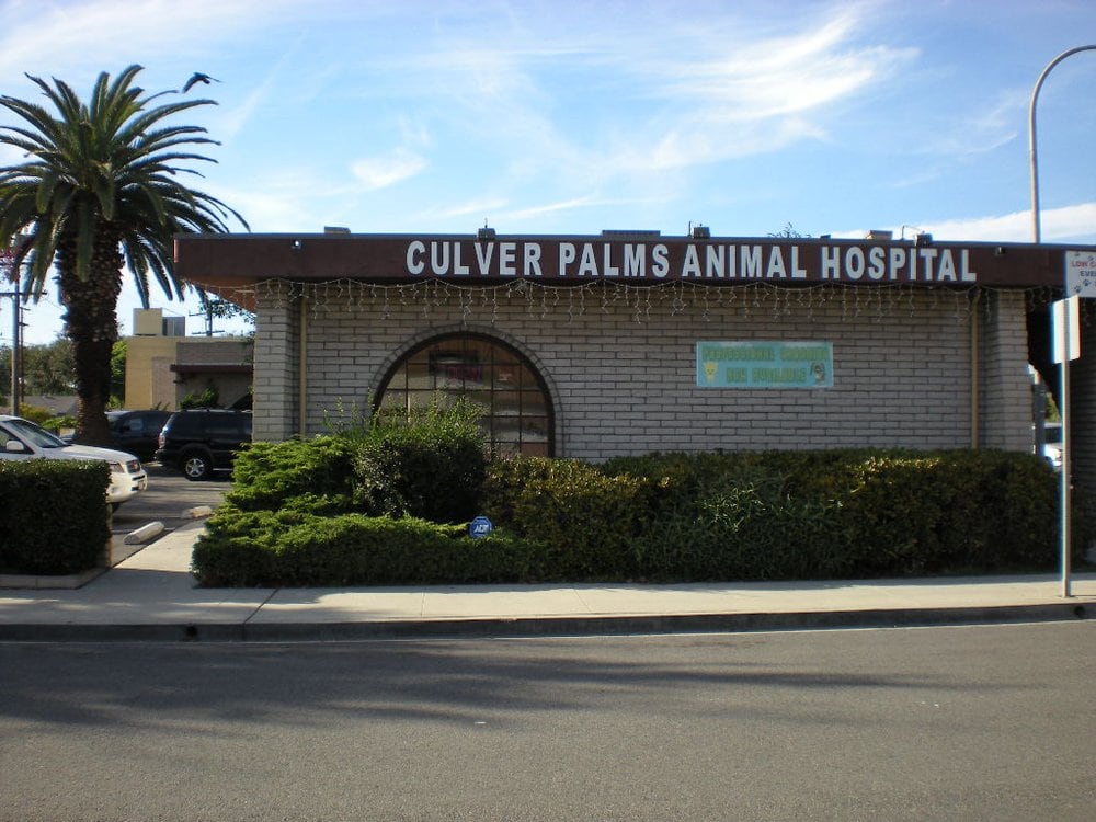 Culver Palms Animal Hospital 4477 Sepulveda Blvd Culver City Ca 90230