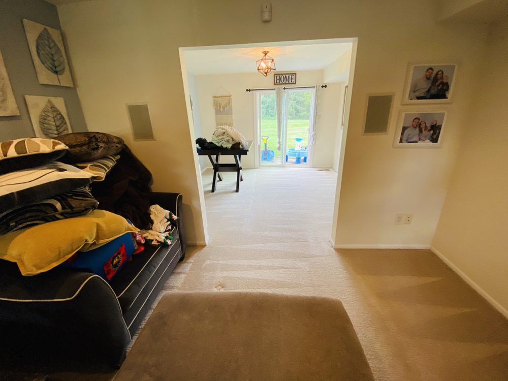 Zoom Dry Carpet Cleaning