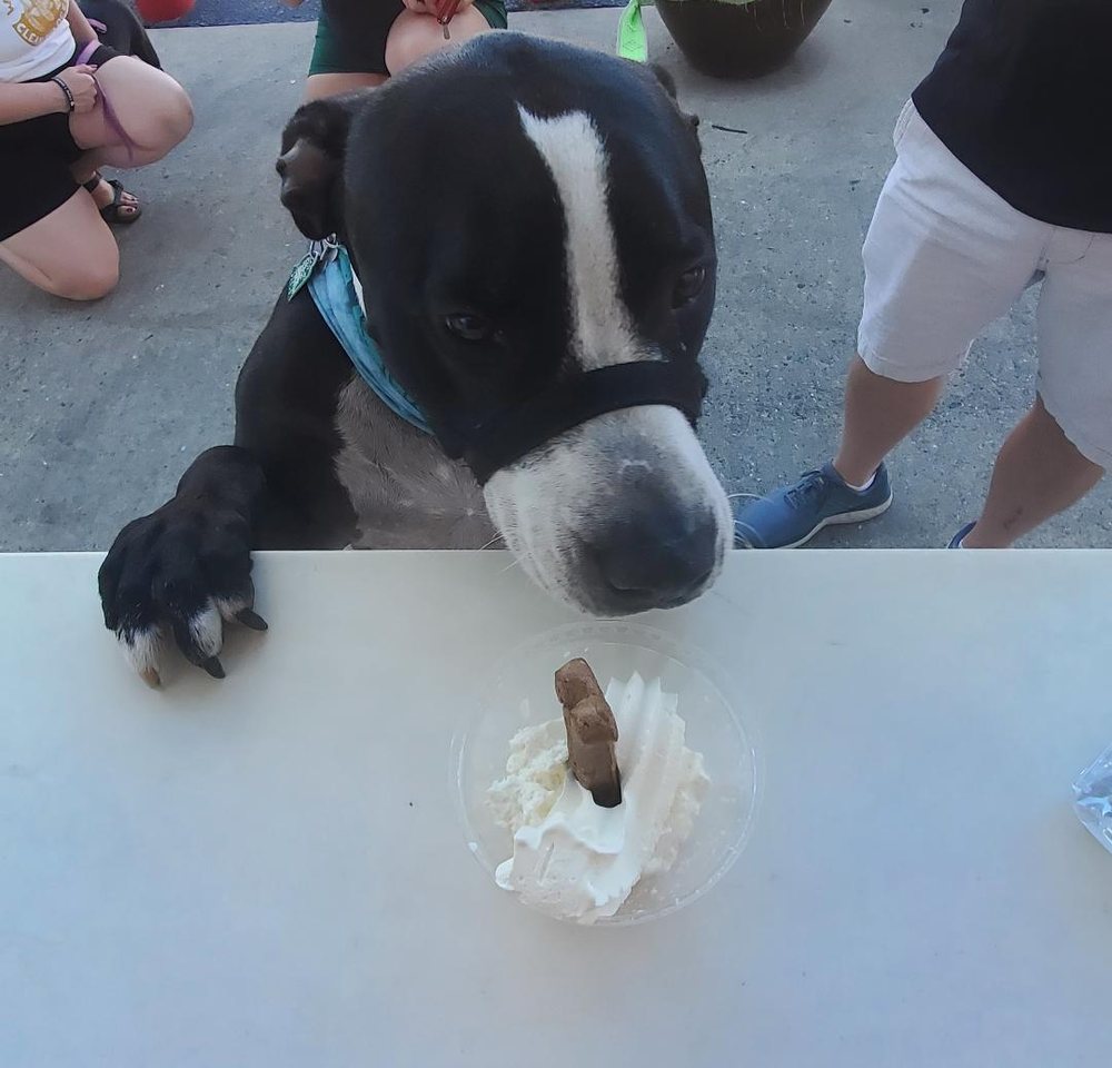 Rita's Italian Ice & Frozen Custard