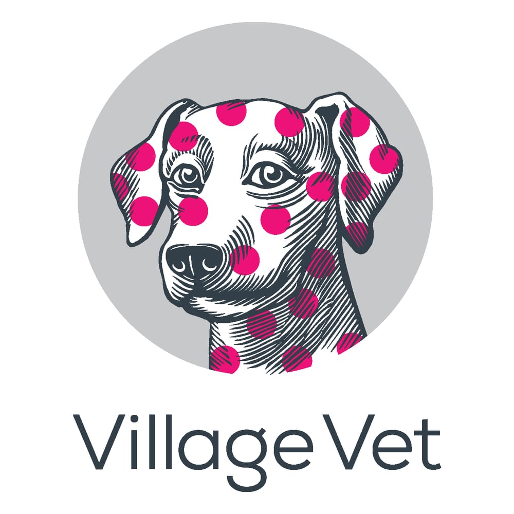 Village Vet Hampstead Veterinarians 11 Belsize Terrace, Belsize