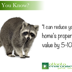 Atlanta Environmental Pest Services 18 Photos Control Photo Of Atlanta Environmental Pest Services Kennesaw Ga United States Critters Can