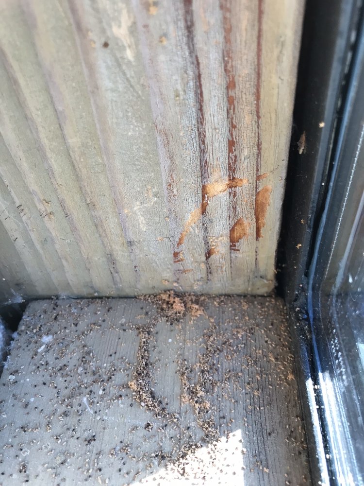 Hall Bros Termite Control