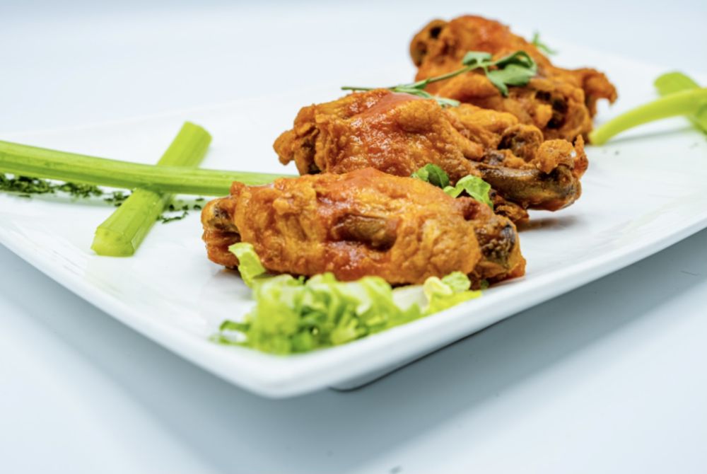 The Llama’s House The Llama’s House