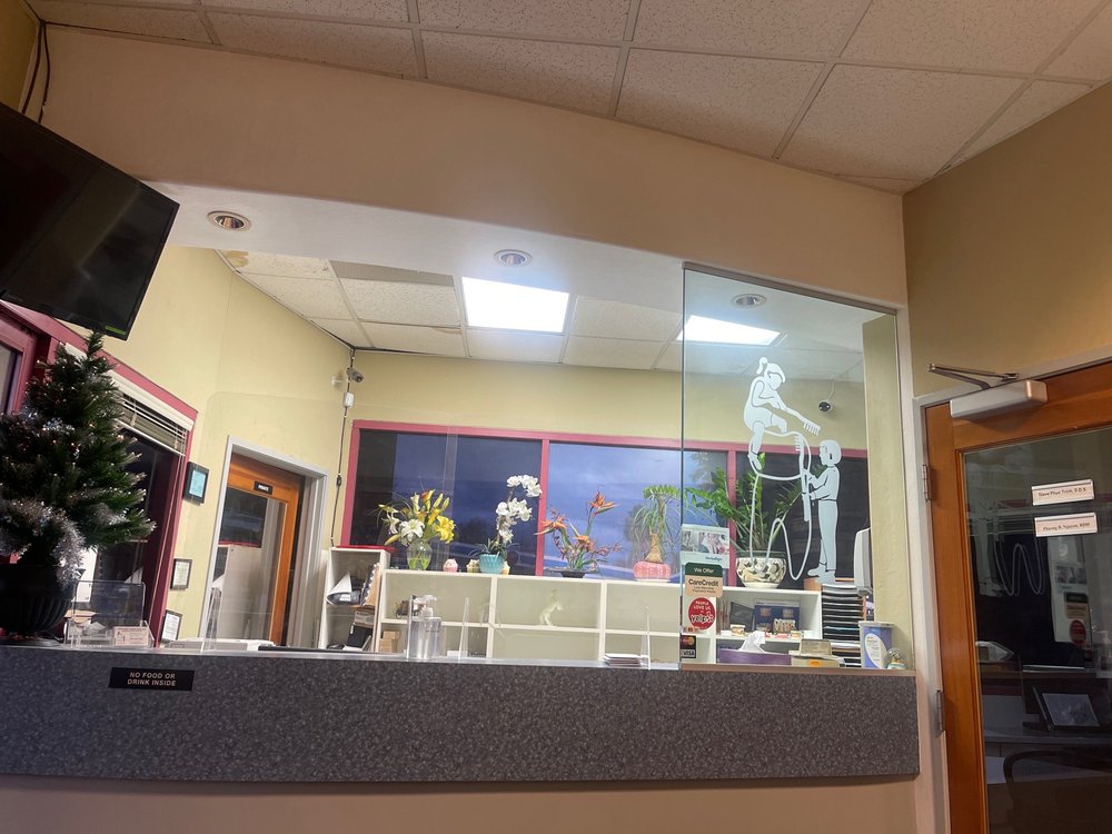 image of business Steve P Trinh, DDS