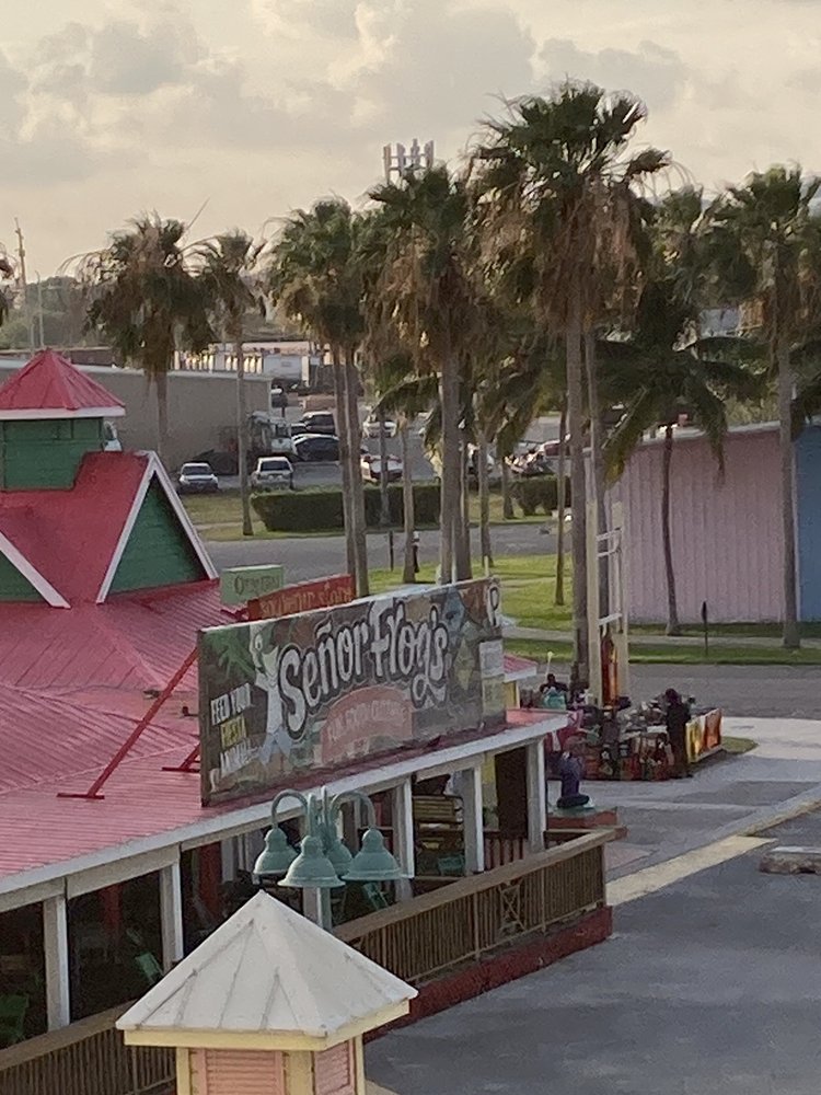 Senor Frogs