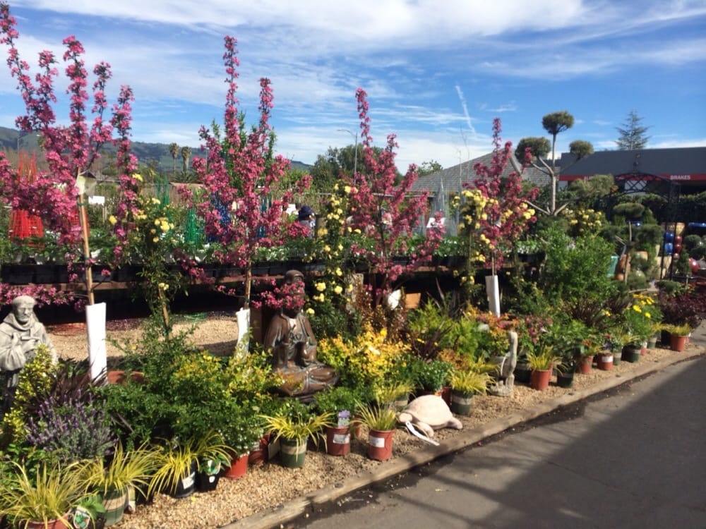 Photos For Payless Hardware Rockery Nursery Yelp Photos For Payless Hardware Rockery Nursery Yelp