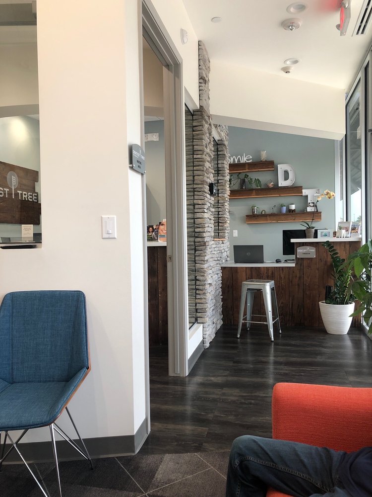 image of business Dentist Tree of Fairfield