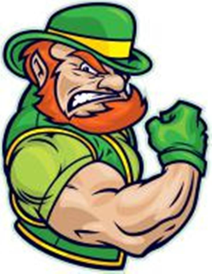 Irish N' Clean Residential Cleaning Service