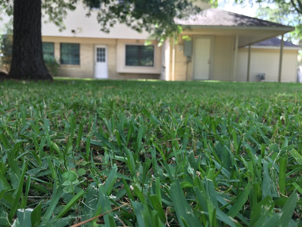 Houston Yard Guys 23 Photos Landscaping Fondren Southwest