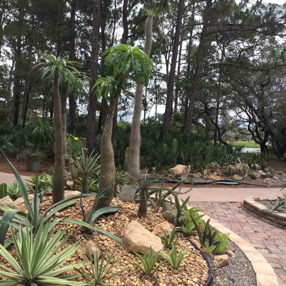 Albums 98+ Pictures port st. lucie botanical gardens photos Sharp