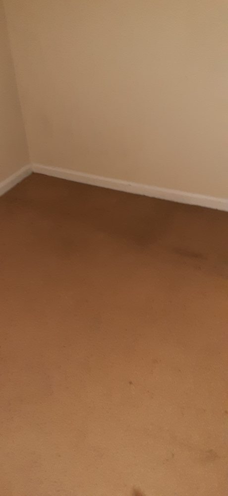 Choice Jacksonville Realty