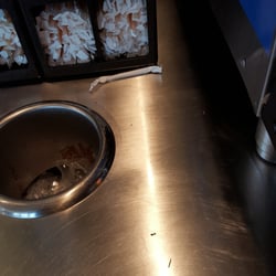 Taco Bueno - 39 Reviews - Mexican - 6510 Tutt Blvd, Colorado Springs