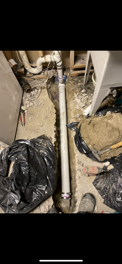 Boss Rooter