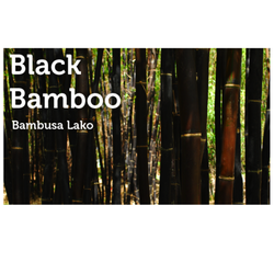 Peltons Nurseries Your Bamboo Solution 16 Photos Photo Of Peltons Nurseries Your Bamboo Solution Miami Fl United