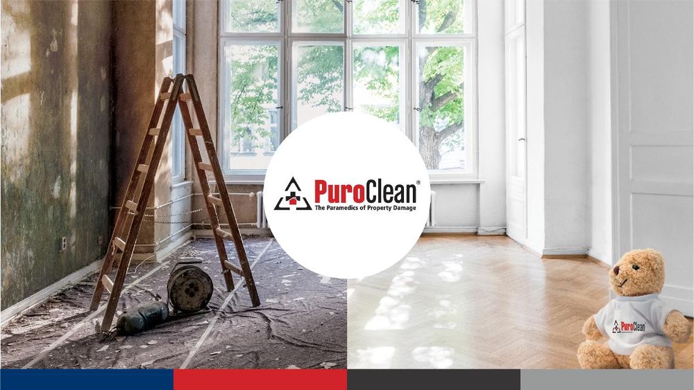 PuroClean Professional Restoration