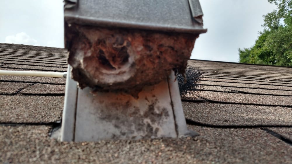 Another Clothes Dryer Roof Vent Clogged With Lint Yelp Photo Of Dryer Vent Cleaning 24 7 Seminole Fl United States