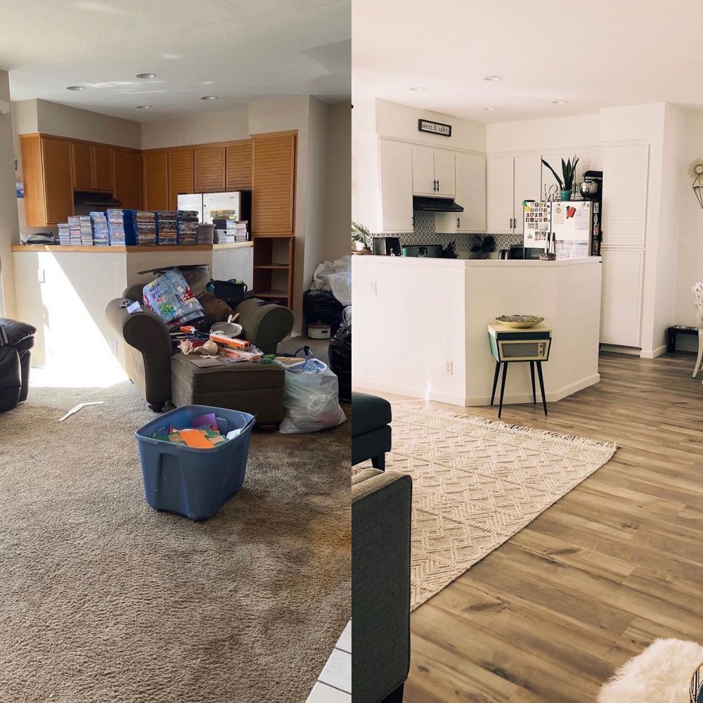 image of business Modern Tropix Wallpaper + Interior Design