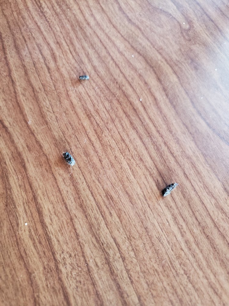 Southern Shores Realty