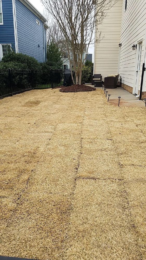 Lawn And Landscaping 10 Photos 9930 Small Lawn And