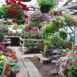 sunshine gardens nurseries gardening