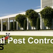 Southeast Florida Pest Control 14 Photos 20273 Sr Photo Of Southeast Florida Pest Control Boca Raton Fl United States