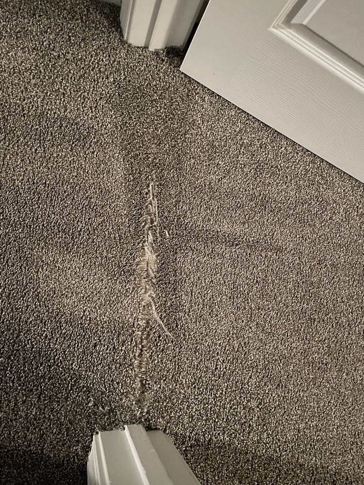 New Finish Carpet Care