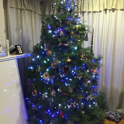 Photo Of Delancey Christmas Trees Photo Of Delancey Christmas Trees