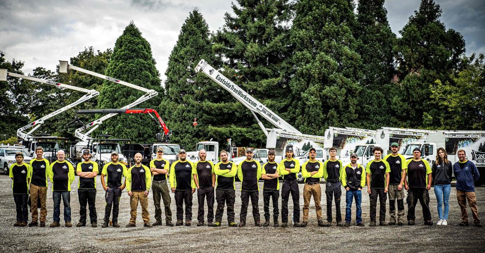 Eastside Tree Works