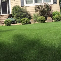 Touchdown Turf 15 Photos Artificial 273 Swinnerton St Photo Of Touchdown Turf Staten Island Ny United States