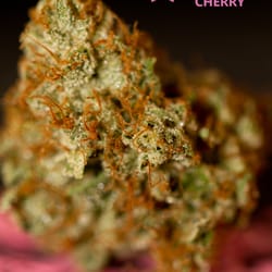 Pink House Cherry Cans Clinics 111 S Madison St Pink House Cherry Cans Clinics 111 S Madison St Creek Denver Co Phone Number Yelp