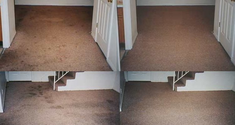 Preferred Carpet Care