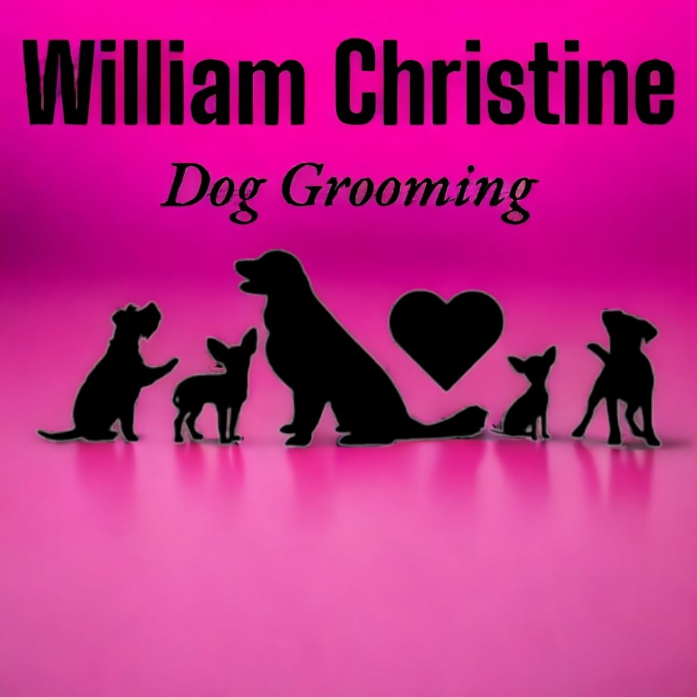 William Christine Dog Grooming