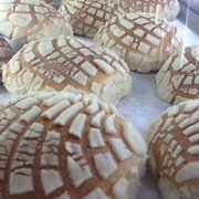 zocalo in haines city el zocalo 21 photos 21 reviews grocery 452 us hwy zocalo in haines city el zocalo 21 photos 21 reviews grocery 452 us hwy