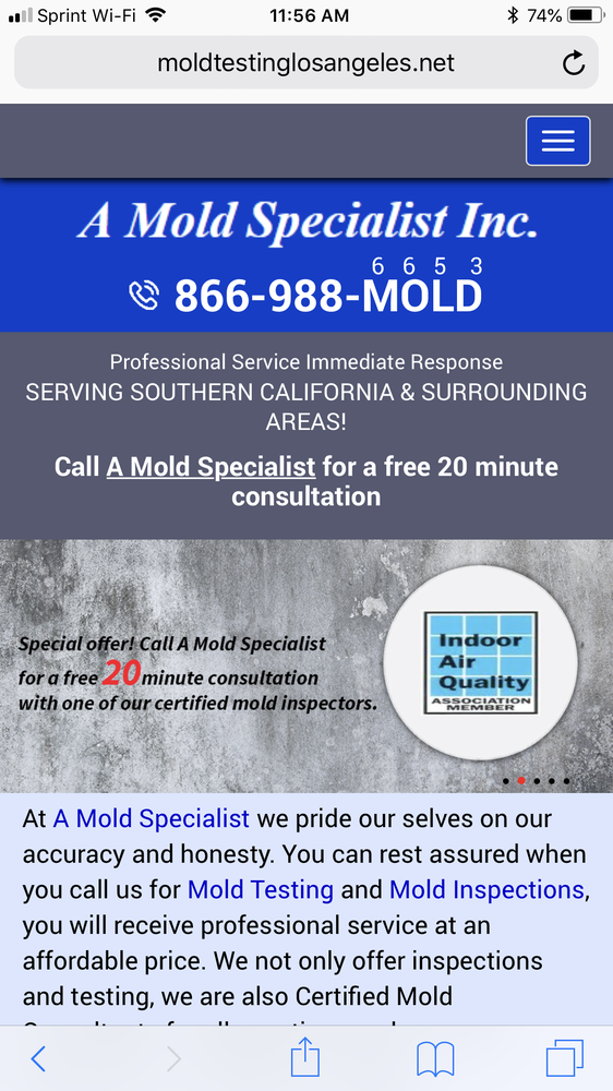 A Mold Specialist
