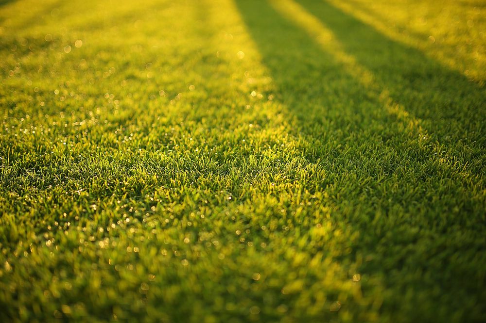 Lawnscape Plus