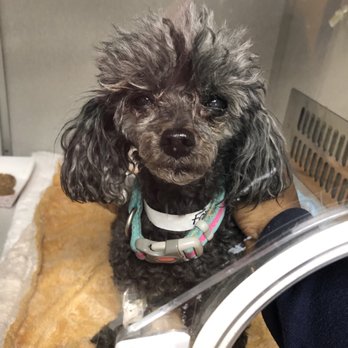Access Woodland Hills >> Access Specialty Animal Hospital 105 Photos 477 Reviews Access Woodland Hills >> Access Specialty Animal Hospital 105 Photos 477 Reviews