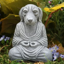 Karma Dog Training Colorado Springs Karma Dog Training Colorado Springs